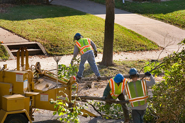 Best Tree Mulching  in Tarpey Village, CA